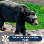 Wildlife Discovery Tour