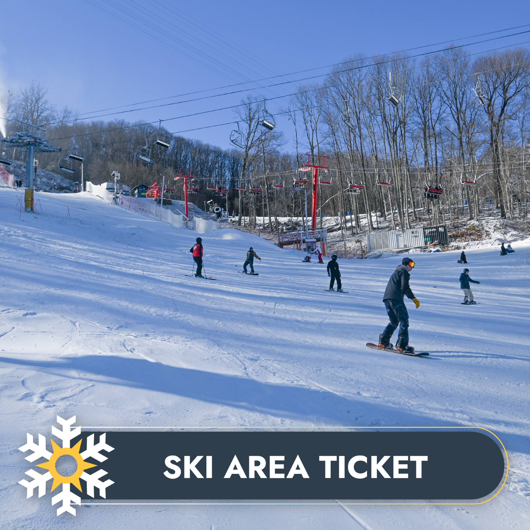 Ski Area Lift Tickets