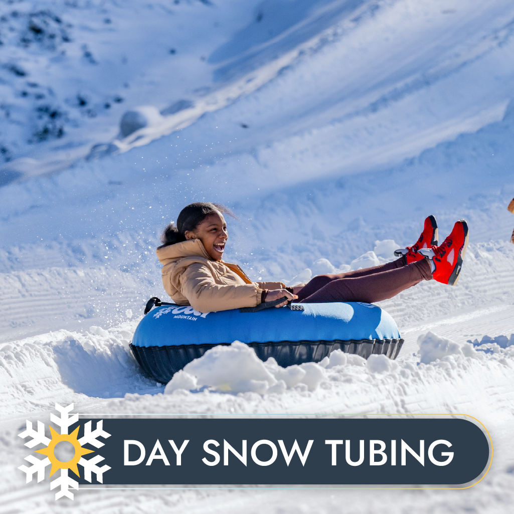 Day Snow Tubing